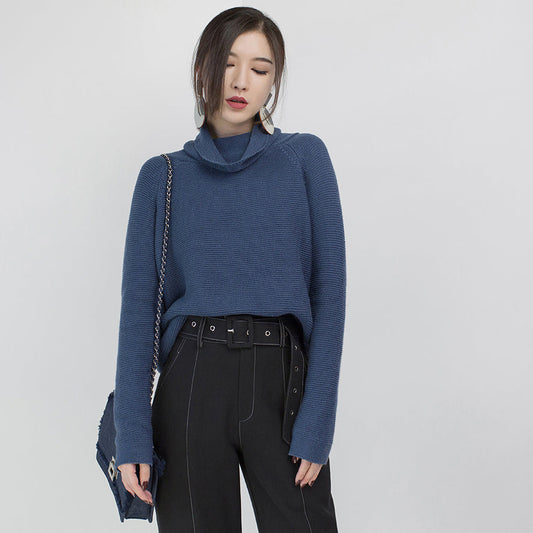 stylish blue cozy sweater Loose fitting high neck knit sweat tops vintage blouse