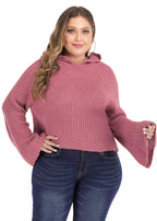 Art Red Hooded Solid Knit Sweater Long Sleeve