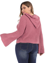 Art Red Hooded Solid Knit Sweater Long Sleeve