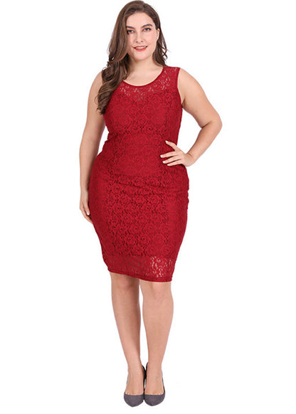 Novelty Mulberry O-Neck Solid Lace Mid Dresses Summer